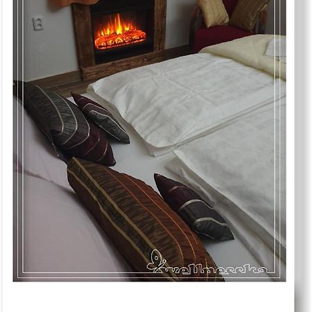 Wellnesska Vyhne Villa ภายนอก รูปภาพ