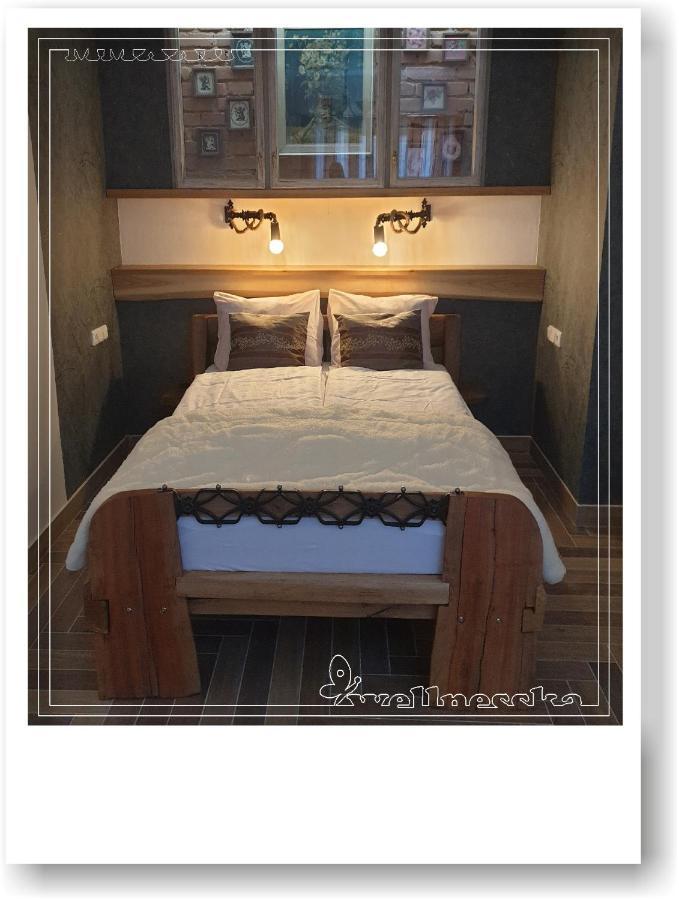 Wellnesska Vyhne Villa ภายนอก รูปภาพ