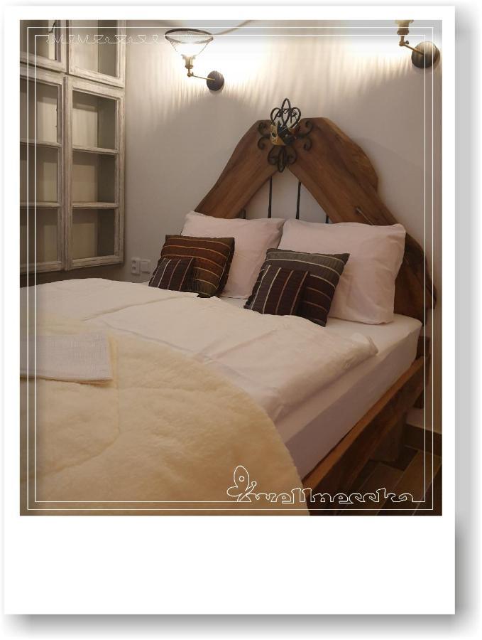 Wellnesska Vyhne Villa ภายนอก รูปภาพ