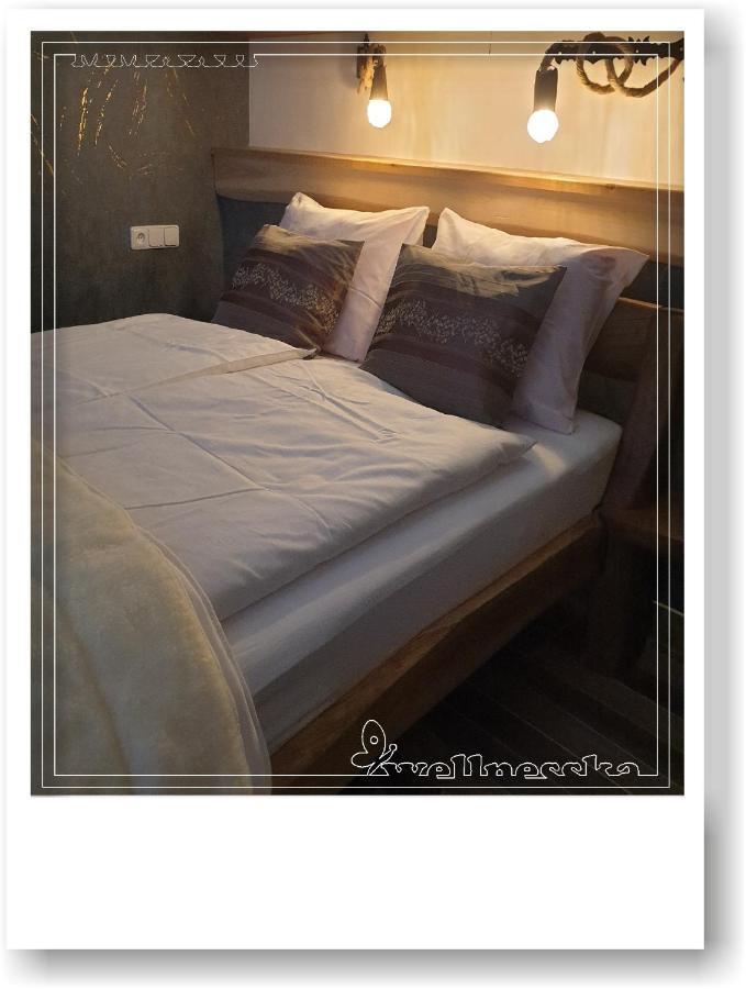 Wellnesska Vyhne Villa ภายนอก รูปภาพ