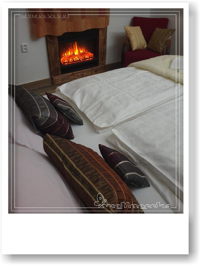 Wellnesska Vyhne Villa ภายนอก รูปภาพ