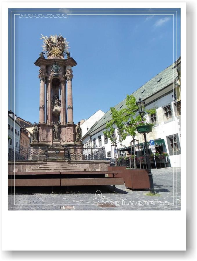 Wellnesska Vyhne Villa ภายนอก รูปภาพ