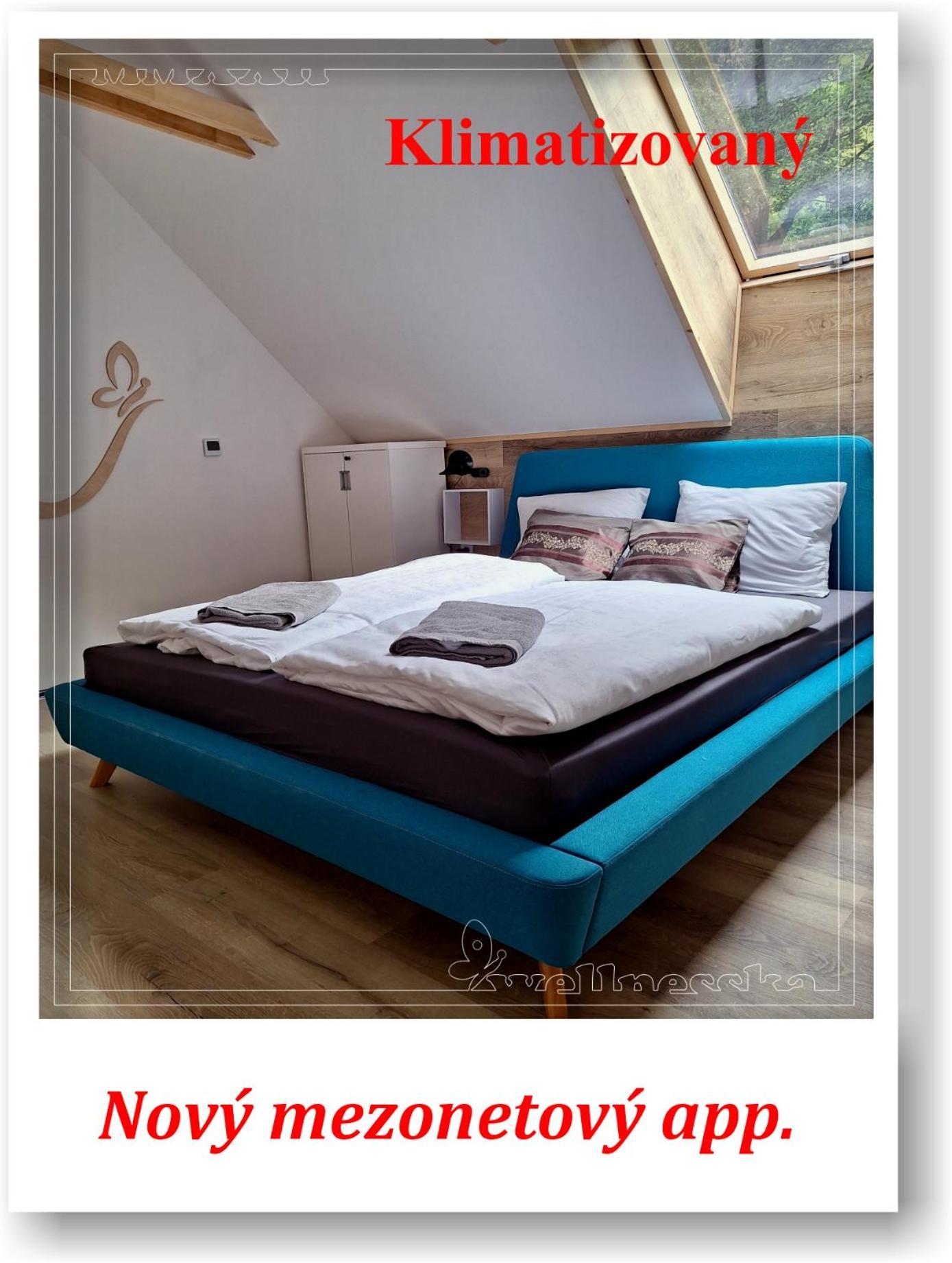 Wellnesska Vyhne Villa ภายนอก รูปภาพ